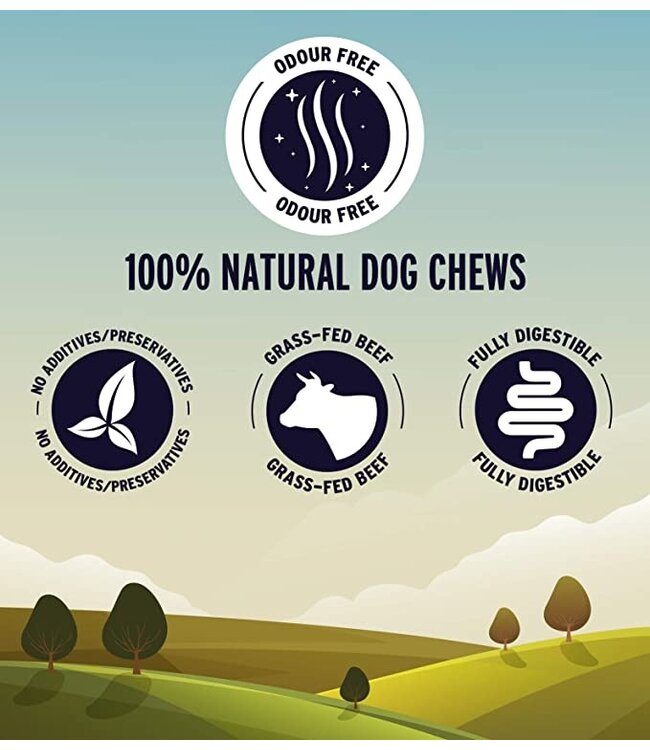 GREAT JACK'S Bully stick (sans odeurs) Paddock Animal