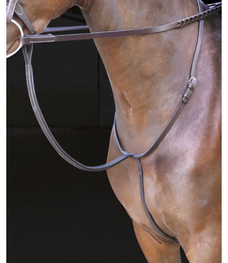 Shires Equestrian Standing Martingale Rossano