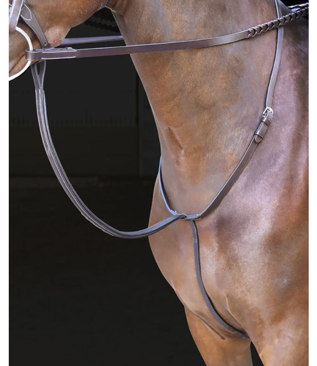 Shires Equestrian Martingale fixe Rossano