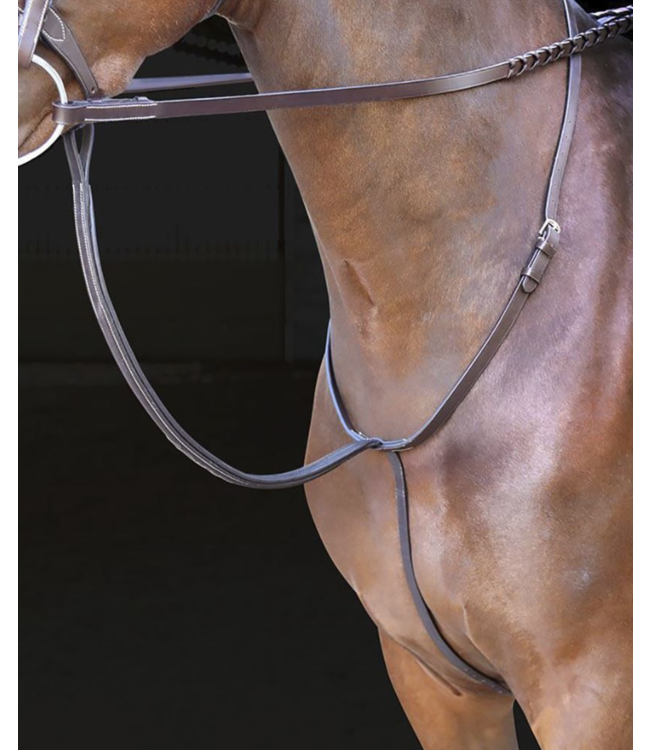 Shires Equestrian Standing Martingale Rossano