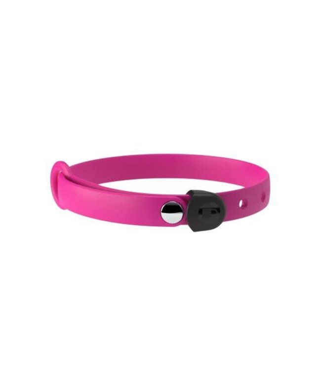 NUVUQ Mini adjustable collar for dogs