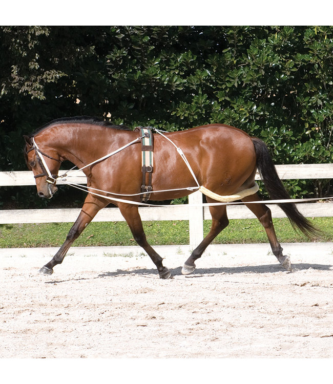 Pessoa Horse Lunging System- Horse Training Equipment - View #2