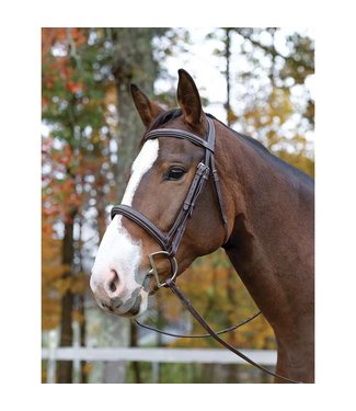 Shires Equestrian Ocala Avignon Bridle