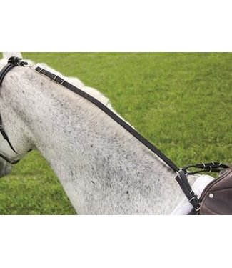 Shires Equestrian Rênes Daisy en nylon