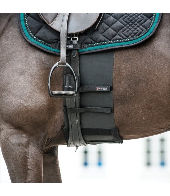 CATAGO Equestrian Belly Band Paddock Animal