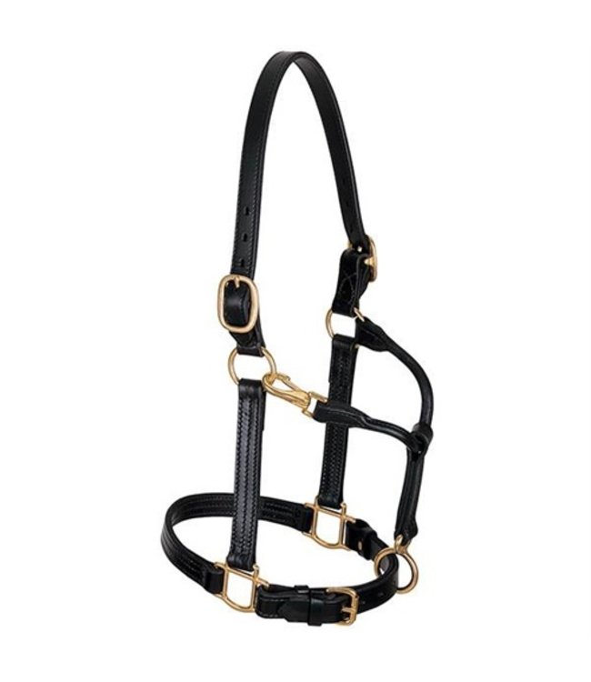 Weaver Track 1'' leather halter