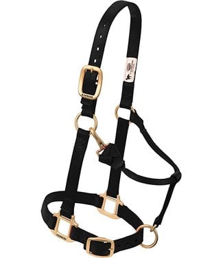 Weaver Adjustable nylon halter Basic colors