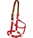 Weaver Breakaway halter with leather strap