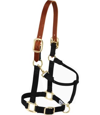 Weaver Breakaway halter with leather strap