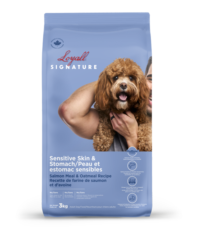 Loyall Chien adulte - Formule saumon & riz