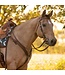 Weaver Austin Horse Tack Collection
