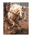 Weaver Stacy Westfall Showtime western kit with crystals