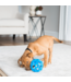 JW Pet products Hol-ee Roller