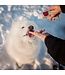 Animora Cranberry dental gel for animals