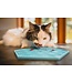 Animora Cranberry dental gel for animals
