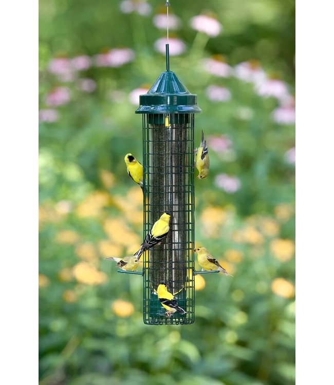 Brome Bird Care Squirrel Buster Finch feeder