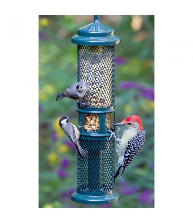 BROME BIRD CARE Squirrel Buster Nut Feeder Paddock Animal