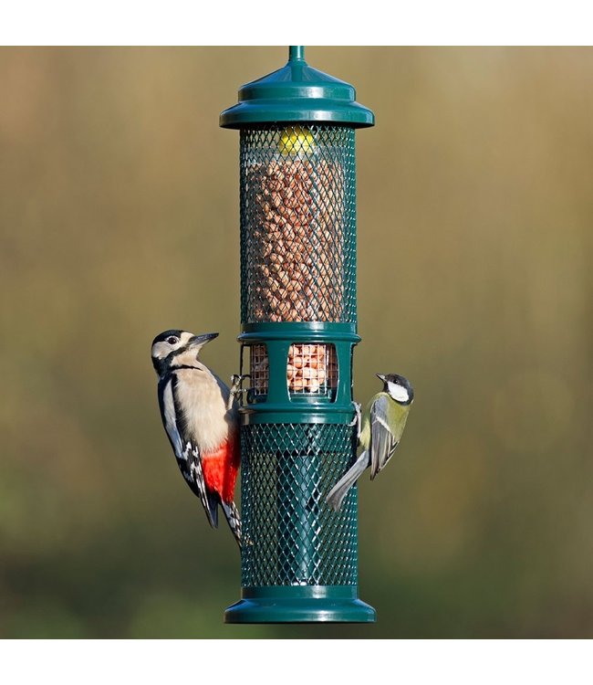 BROME BIRD CARE Squirrel Buster Nut Feeder Paddock Animal