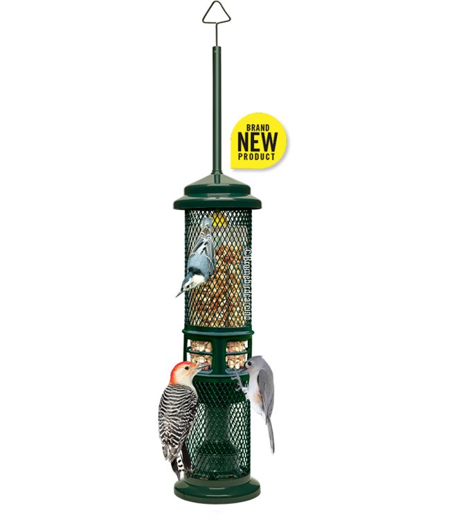 Brome Bird Care Squirrel Buster Nut Feeder