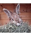 Les Grains Douglass Hay bag for animals