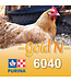 Cargill-Purina Gold'N Début pour Poussins (6040)