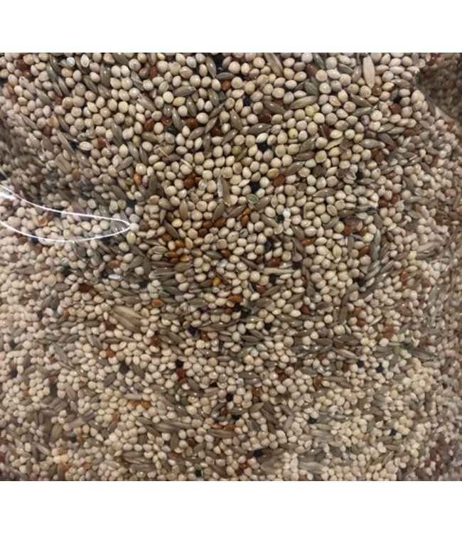 Les Grains Douglass Budgies mix