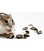 Les Grains Douglass Hamster/Gerbil mix