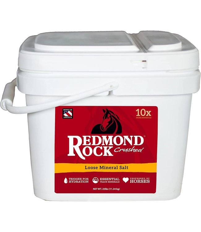 Redmond Rock Loose Mineral Salt