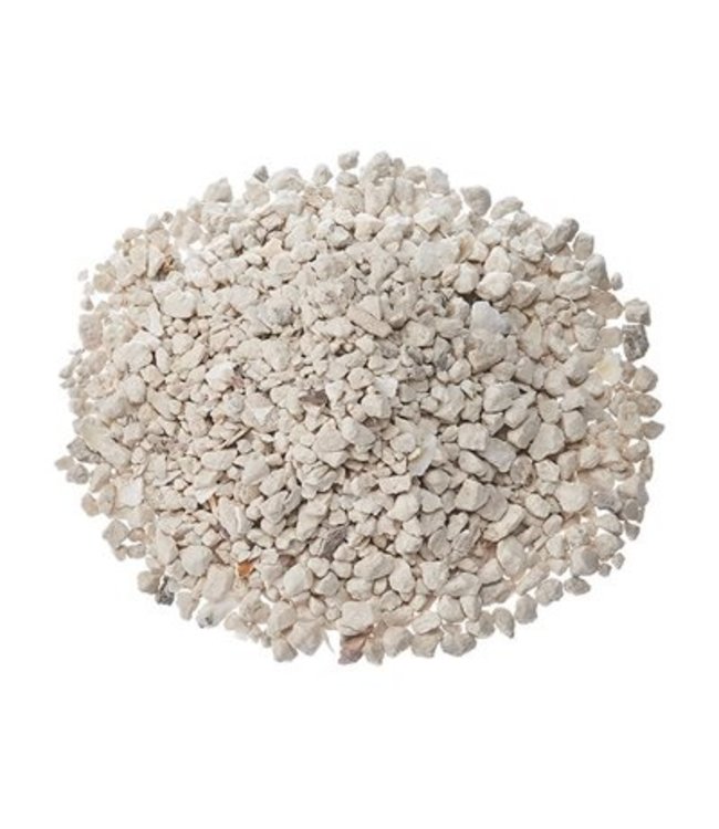 Les Grains Douglass Oyster shells