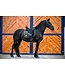 BR Equestrian Brooklyn dressage pad