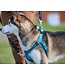 RC Pets Black Tempo No Pull Dog Harness