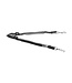 RC Pets Black Bungee Coupler