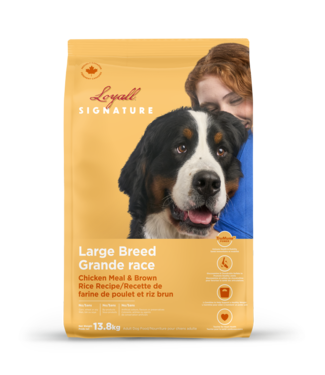 Loyall Large breed adult dog