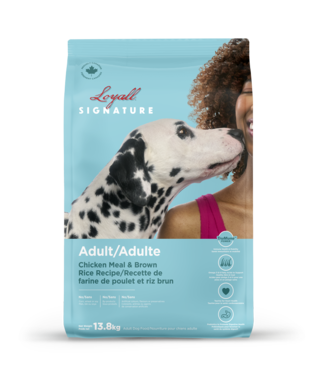 Loyall Adult dog - Chicken formula