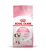 Royal Canin Feline Health Nutrition™ Kitten Dry Cat Food