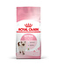 Royal Canin Nutrition Santé pour Chats - CHATON
