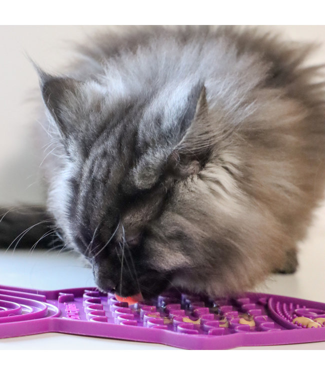 Tapis De Léchage Anti-Stress Pour Chien Et Chat - En Silicone Alimentaire Avec Ventouses - Ralentisseur De Repas - 6