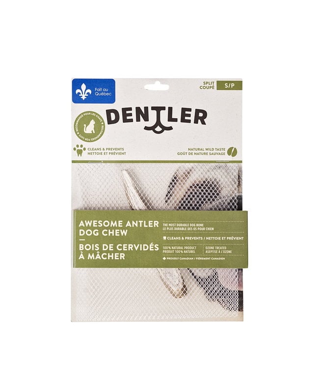 Dentler Antler god chews - Whole - Wild nature taste