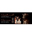 Oven-Baked Tradition Original Turkey Recipe for Cats
