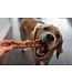 JAKERS Beef trachea