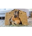 Oxbow Alfalfa hay