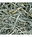 Oxbow Organic meadow hay