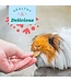 Oxbow Digestive supplement for rodents