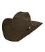 Bullhide Chapeau western Kingman 4X