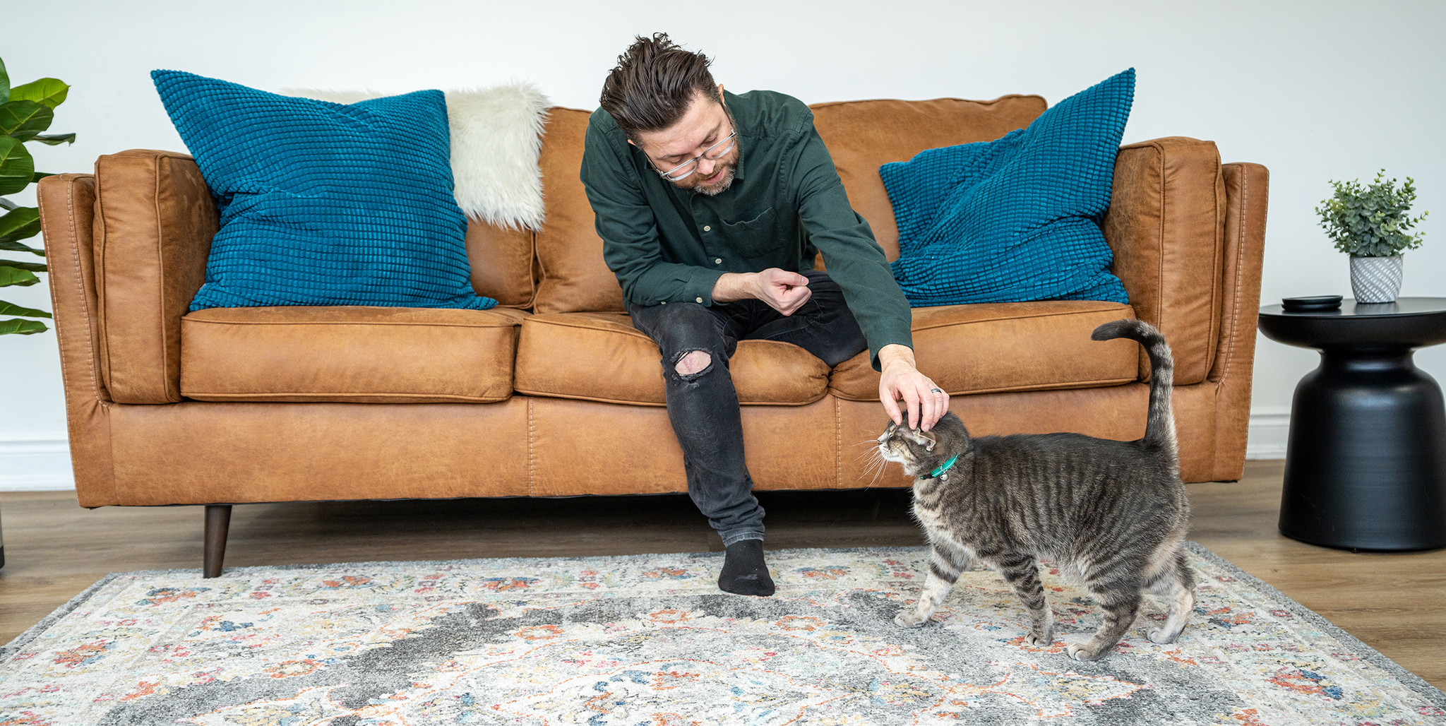 RC PETS Collier pour chat ''Breakaway'' Primary Paddock Animal