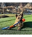 Chuckit! Sport Launcher