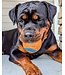 Chuckit! Balle Ultra Squeaker