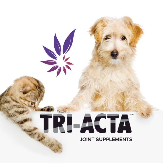Tri-Acta