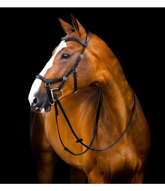 Horseware Micklem2 Deluxe Competition bridle with rein