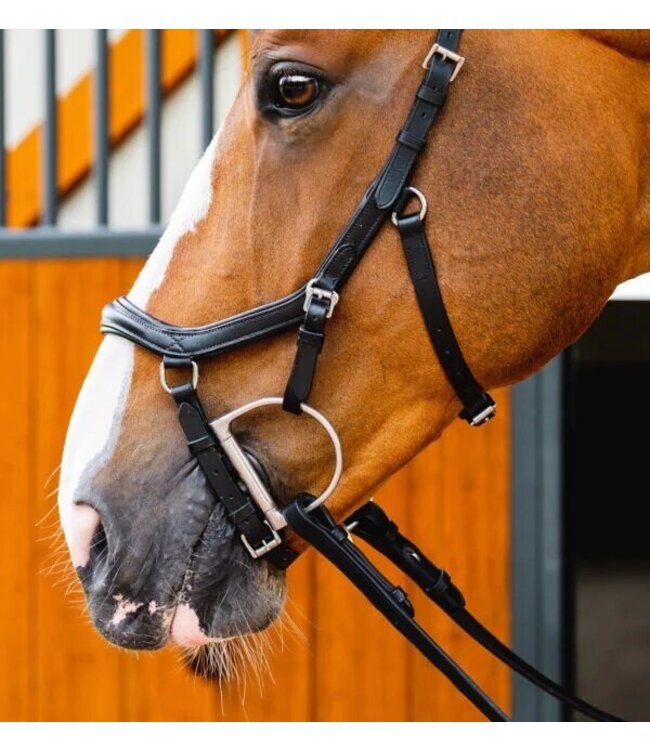 HORSEWARE Bride Micklem Deluxe Compétition avec rêne Paddock Animal